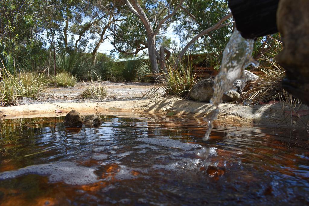 Kangaroo Island Wilderness Retreat 弗林德斯彻斯 外观 照片