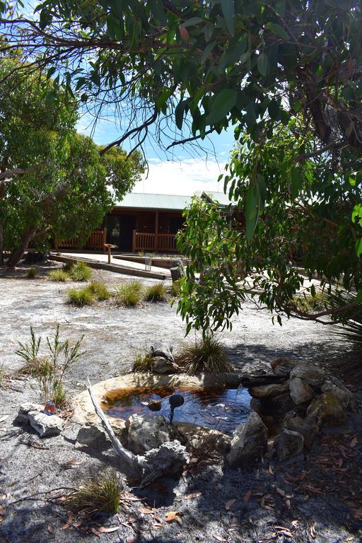 Kangaroo Island Wilderness Retreat 弗林德斯彻斯 外观 照片