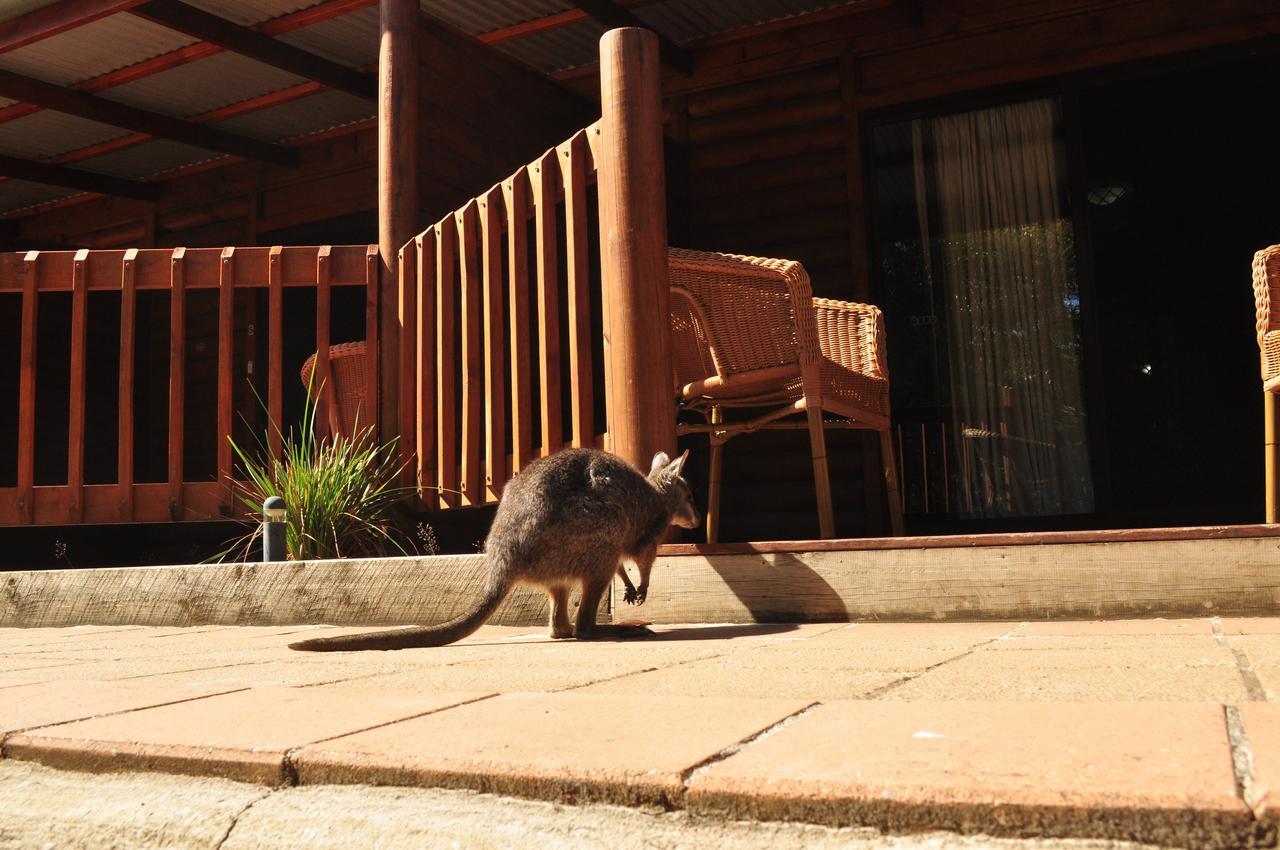 Kangaroo Island Wilderness Retreat 弗林德斯彻斯 外观 照片